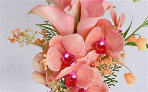 2028年农历四月十三结婚黄道吉日 办喜事吉利吗