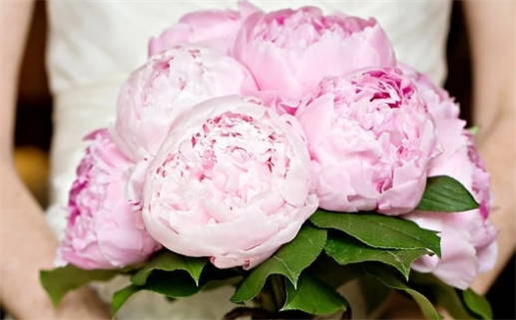 2028年农历六月廿一结婚黄道吉日 办婚礼吉利吗