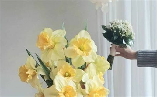 2026年01月05日结婚日子如何 今日办婚礼好不好