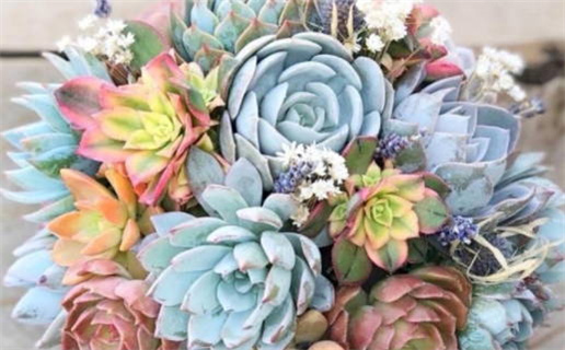 2026年农历九月廿九是不是领证吉日 今日登记结婚好不好