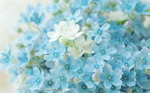 2026年农历九月初十领证黄道吉日 领证吉利吗