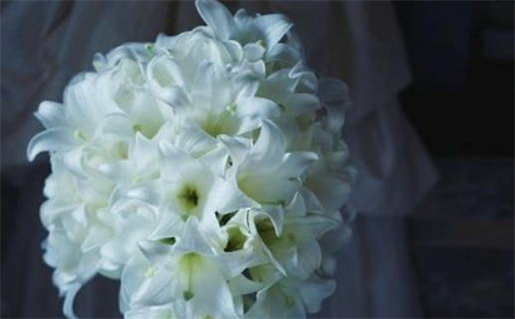 2026年农历九月十八领证黄道吉日 今日领证好吗