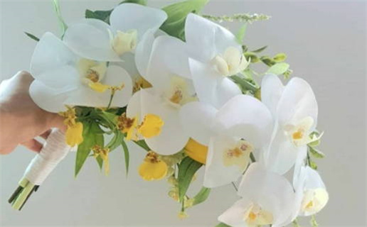 2026年农历九月初三领证好不好 是领证结婚好日子吗