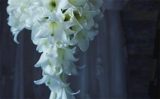 2026年农历十月十一领证日子如何 今日登记领证好不好