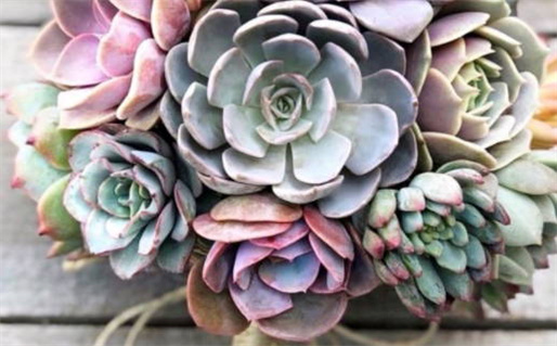 2026年农历七月初五领证黄道吉日 宜领证结婚吉日查询