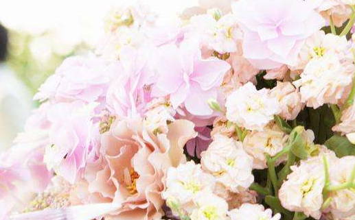 2026年10月15日领证好不好 今日领证结婚好不好