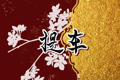 2025年农历五月十九提车黄道吉日 今日提车买车好不好