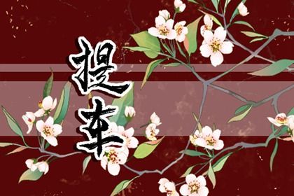 2025年09月10日提车好吗 是买新车好日子吗