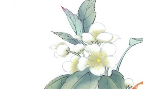 2026年11月19日装修好吗 今日装修开工好吗