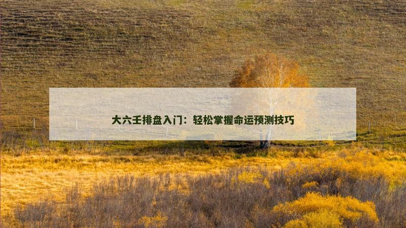大六壬排盘入门：轻松掌握命运预测技巧
