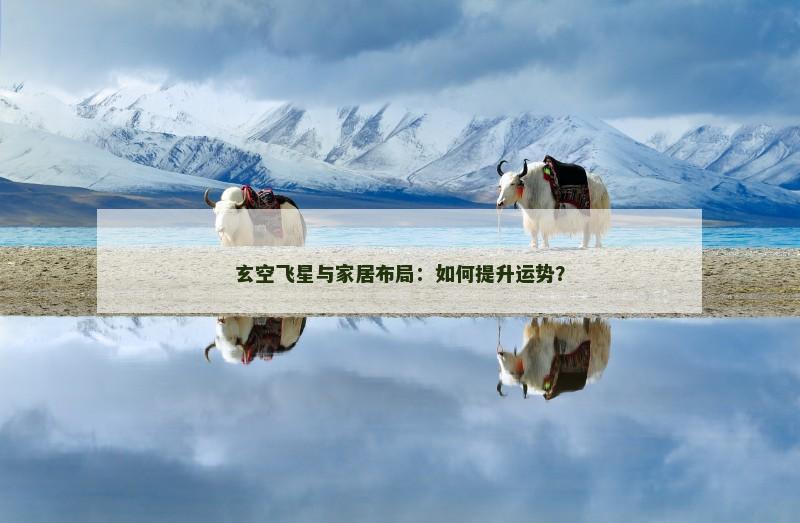 玄空飞星与家居布局：如何提升运势？