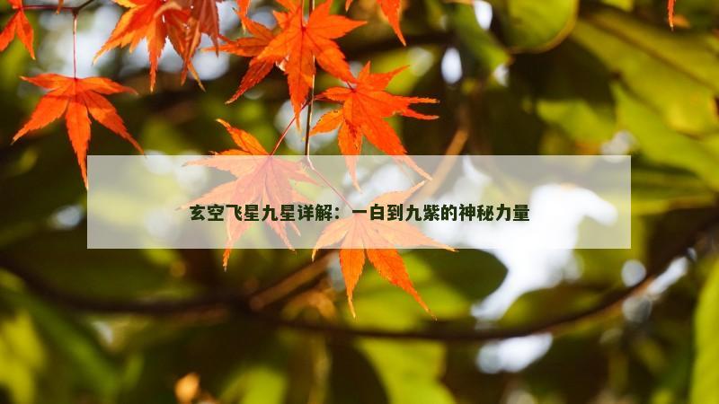玄空飞星九星详解：一白到九紫的神秘力量