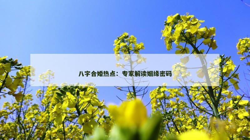 八字合婚热点：专家解读姻缘密码