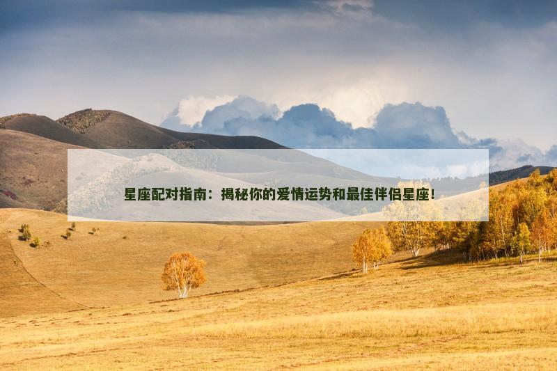星座配对指南：揭秘你的爱情运势和最佳伴侣星座！