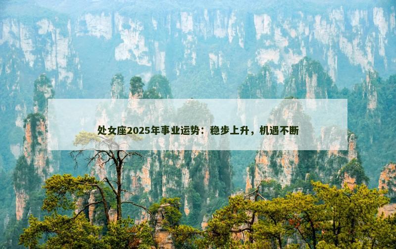 处女座2025年事业运势：稳步上升，机遇不断