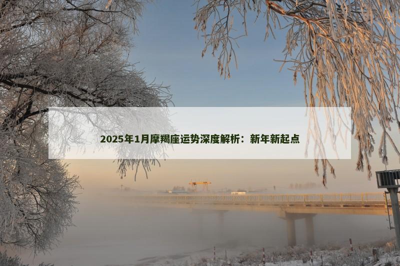 2025年1月摩羯座运势深度解析：新年新起点
