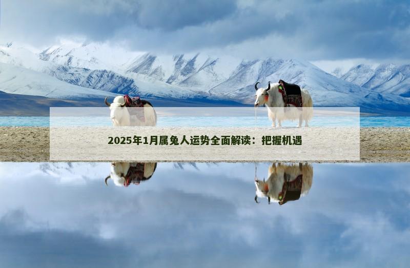2025年1月属兔人运势全面解读：把握机遇