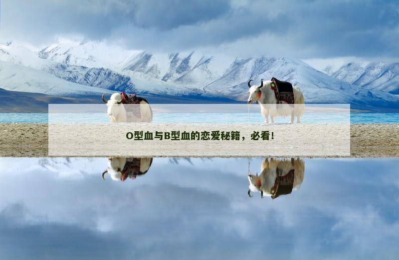 O型血与B型血的恋爱秘籍，必看！