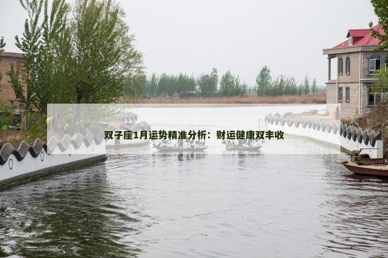双子座1月运势精准分析：财运健康双丰收