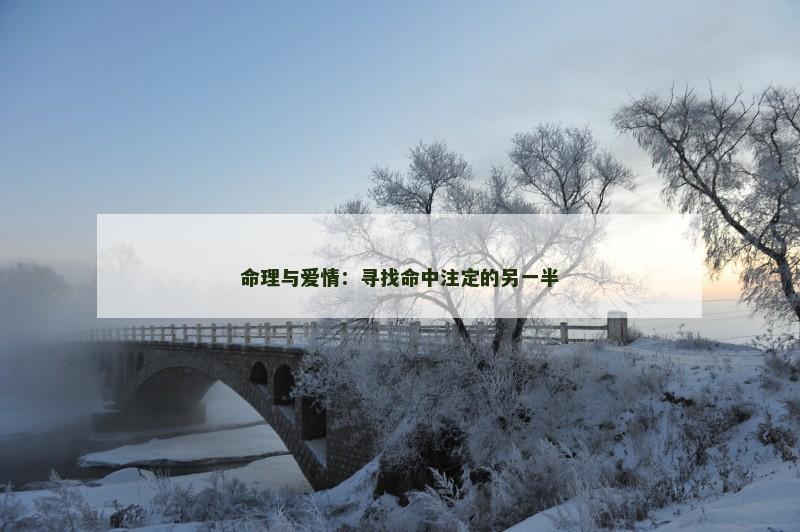 命理与爱情：寻找命中注定的另一半