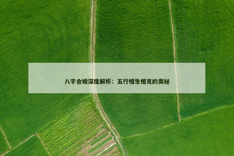 八字合婚深度解析：五行相生相克的奥秘
