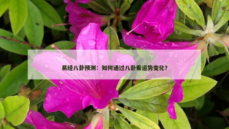 易经八卦预测:如何通过八卦看运势变化? 易经八卦预测:如何通过八卦看运势变化?
