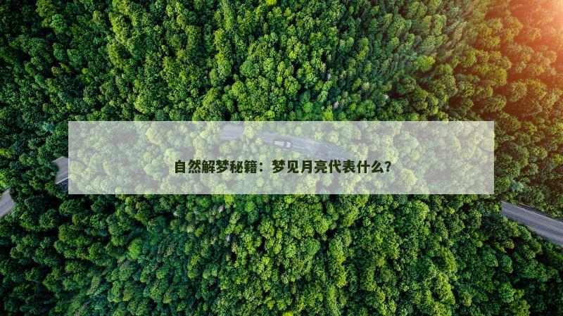 自然解梦秘籍：梦见月亮代表什么？