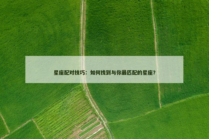 星座配对技巧：如何找到与你最匹配的星座？