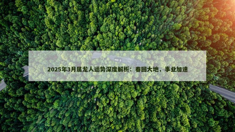 2025年3月属龙人运势深度解析：春回大地，事业加速