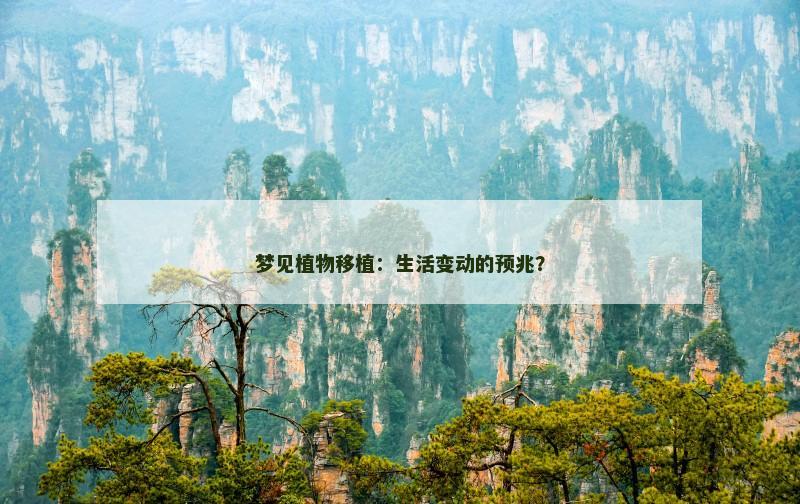梦见植物移植：生活变动的预兆？