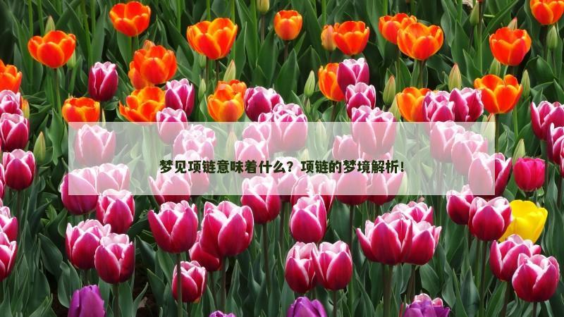 梦见项链意味着什么？项链的梦境解析！