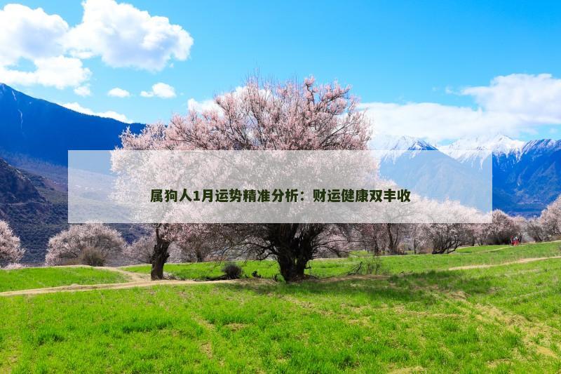 属狗人1月运势精准分析：财运健康双丰收
