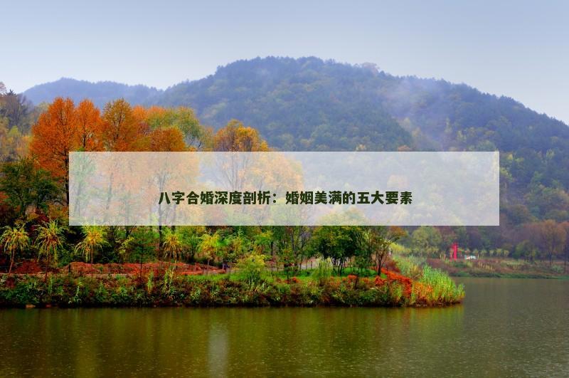 八字合婚深度剖析：婚姻美满的五大要素
