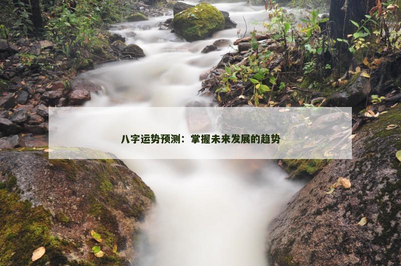 八字运势预测：掌握未来发展的趋势