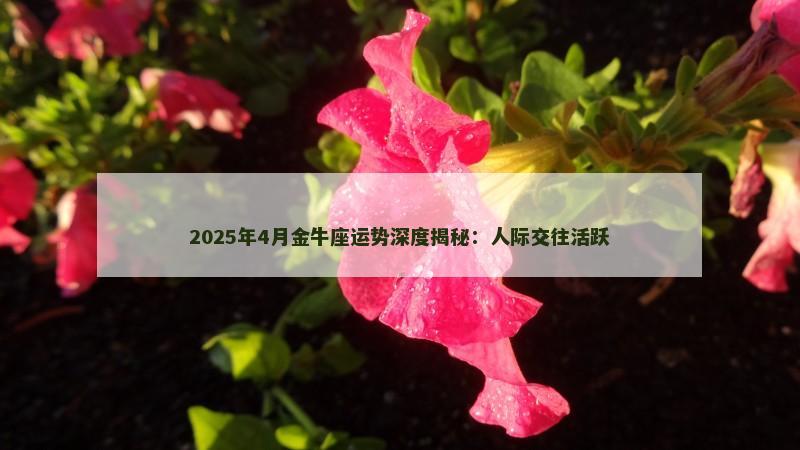 2025年4月金牛座运势深度揭秘：人际交往活跃