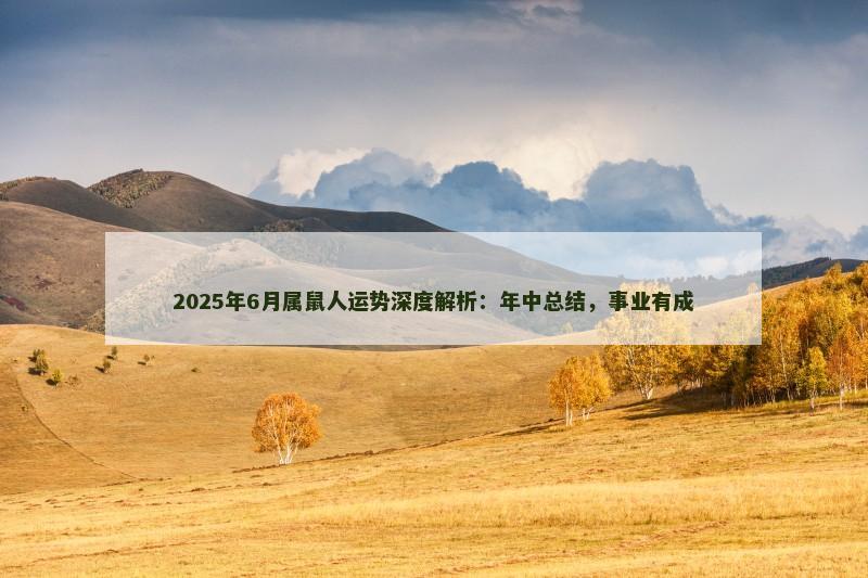 2025年6月属鼠人运势深度解析：年中总结，事业有成
