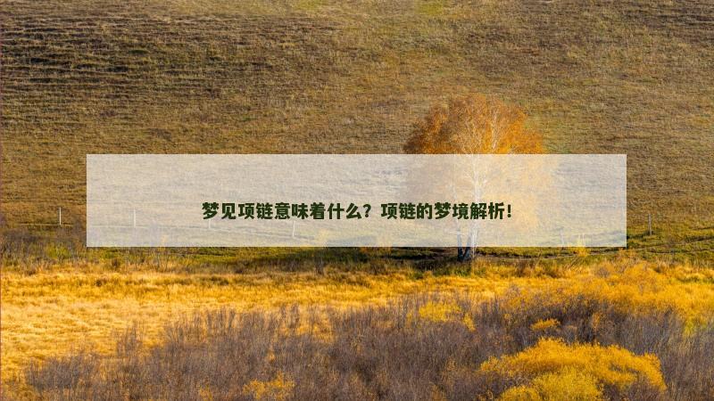 梦见项链意味着什么？项链的梦境解析！
