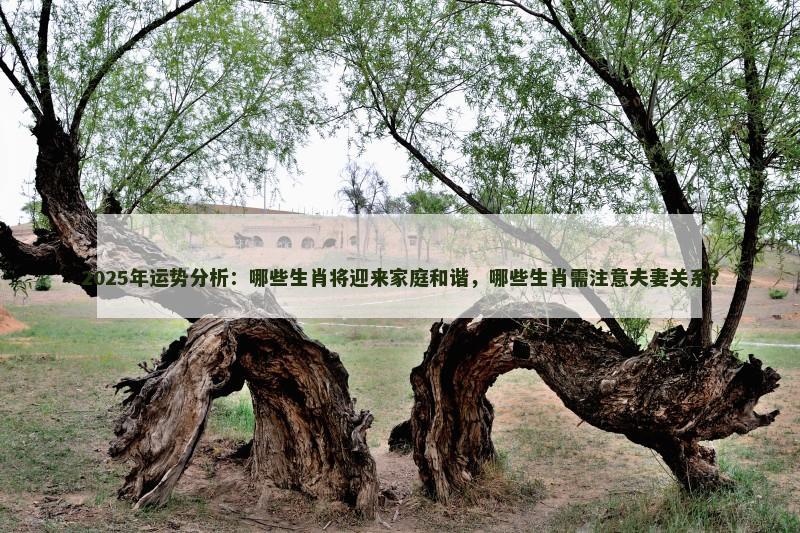 2025年运势分析：哪些生肖将迎来家庭和谐，哪些生肖需注意夫妻关系？