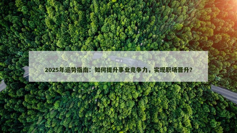 2025年运势指南：如何提升事业竞争力，实现职场晋升？