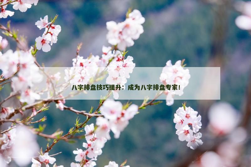 八字排盘技巧提升：成为八字排盘专家！