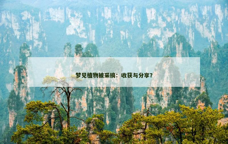 梦见植物被采摘：收获与分享？