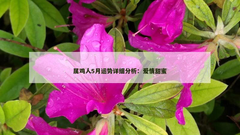 属鸡人5月运势详细分析：爱情甜蜜