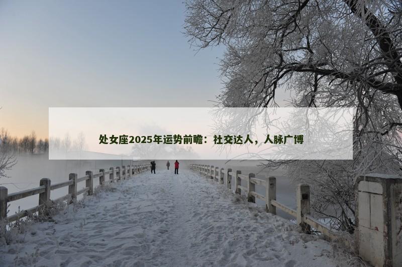 处女座2025年运势前瞻：社交达人，人脉广博