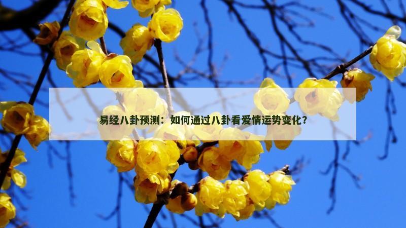 易经八卦预测:如何通过八卦看爱情运势变化? 易经八卦预测:如何通过八卦看爱情运势变化?