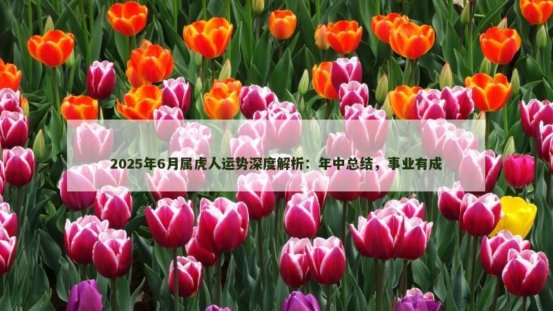 2025年6月属虎人运势深度解析：年中总结，事业有成