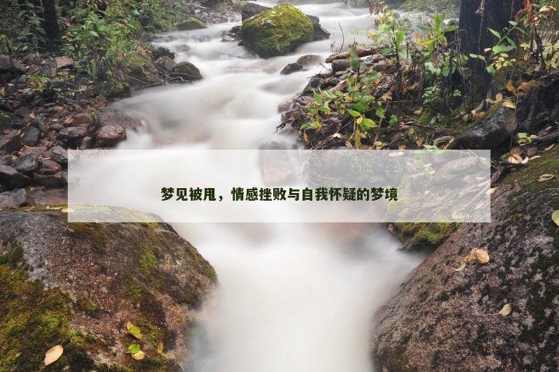 梦见被甩，情感挫败与自我怀疑的梦境