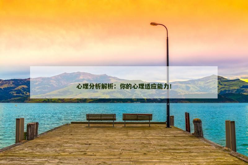 心理分析解析：你的心理适应能力！