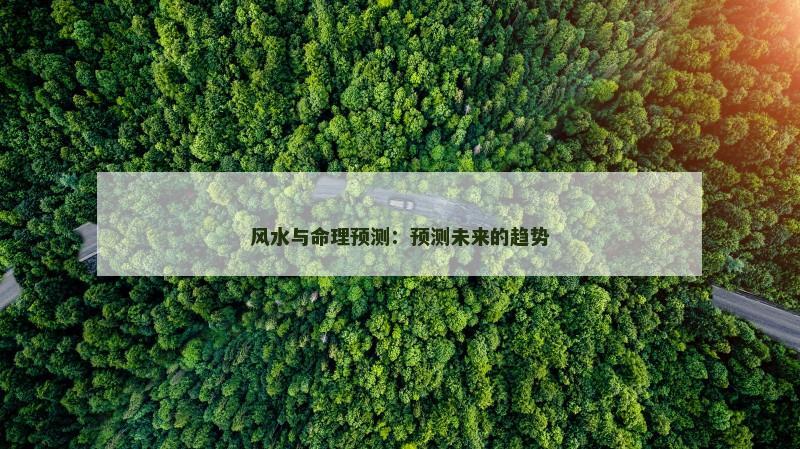 风水与命理预测：预测未来的趋势