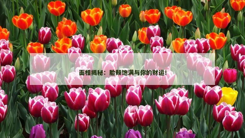 面相揭秘：脸颊饱满与你的财运！