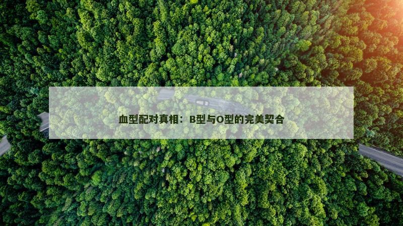 血型配对真相：B型与O型的完美契合